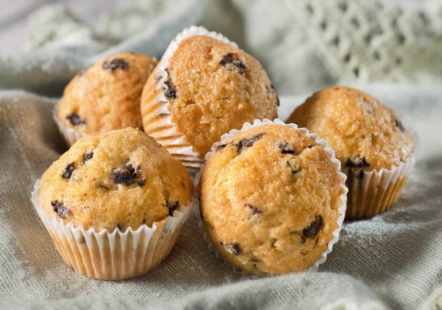 Blueberry Muffins Recipe - Louisiana WIC